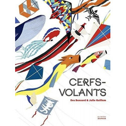CERFS-VOLANTS  - 1