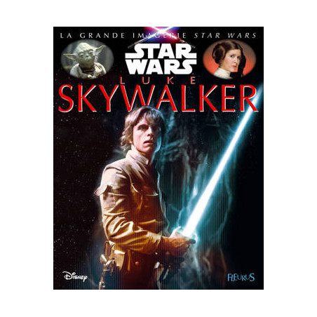 LA GRANDE IMAGERIE : LUKE SKYWALKER  - 1