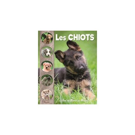 TOUT UN MONDE EN PHOTOS : LES CHIOTS TOUT UN MONDE EN PHOTOS : LES CHIOTS