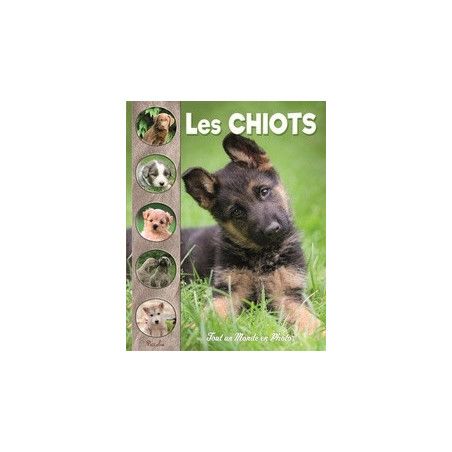 TOUT UN MONDE EN PHOTOS : LES CHIOTS