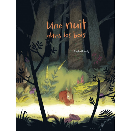Une nuit dans les bois (RAPHAEL KOLLY )