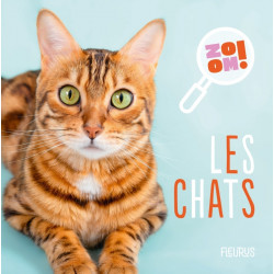 ZOOM ! Les chats
