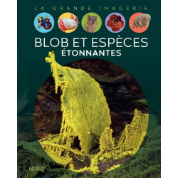 LA GRANDE IMAGERIE - BLOB...