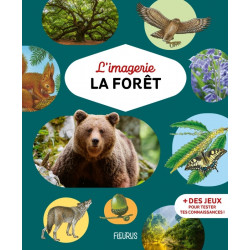 L'imagerie - La forêt