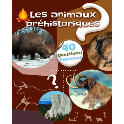 40 questions réponses - Les...