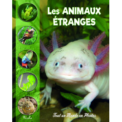 TOUT UN MONDE EN PHOTOS -...