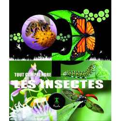 TOUT COMPRENDRE LES insectes