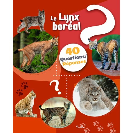 Le lynx - 40 questions / réponses