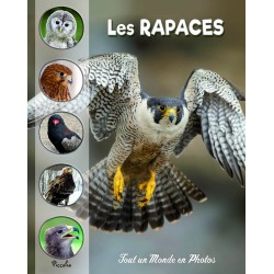 Les rapaces