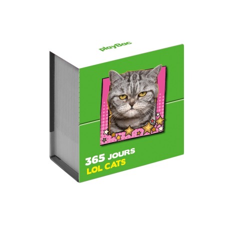 Mini calendrier 365 jours LOL Cats