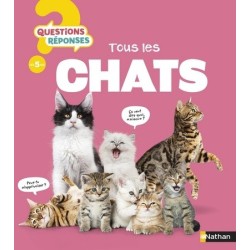 Tous les chats ( Questions...