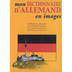 DICTIONNAIRE AUZOU ALLEMAND...