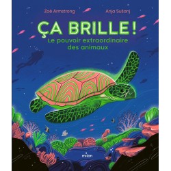 Ça brille ! Le pouvoir...