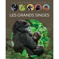 Les grands singes ( LA...