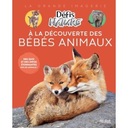 À la découverte des bébés...