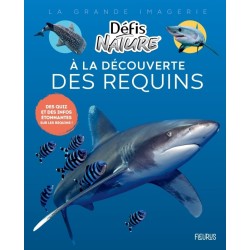 À la découverte des requins...