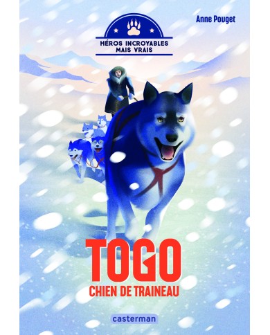 Héros incroyables mais vrais - Togo, chien de traîneau